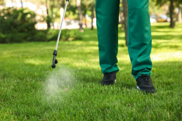 Best Commercial Pest Control Services  in Olmos Park, TX