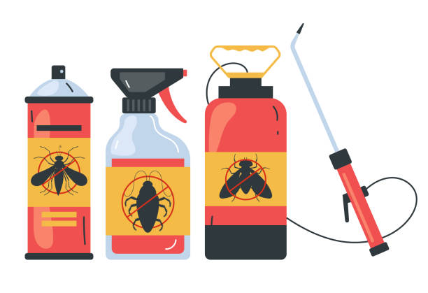 Best Flea Control Services  in Olmos Park, TX